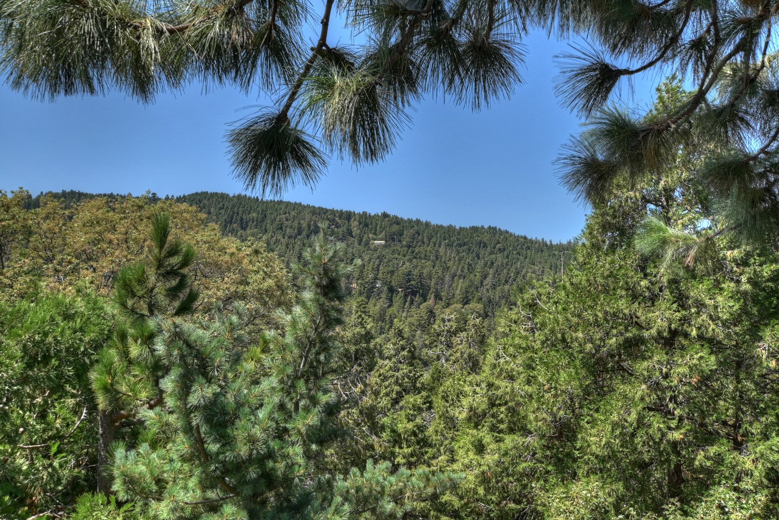 Weekend getaway from Los Angeles mountains